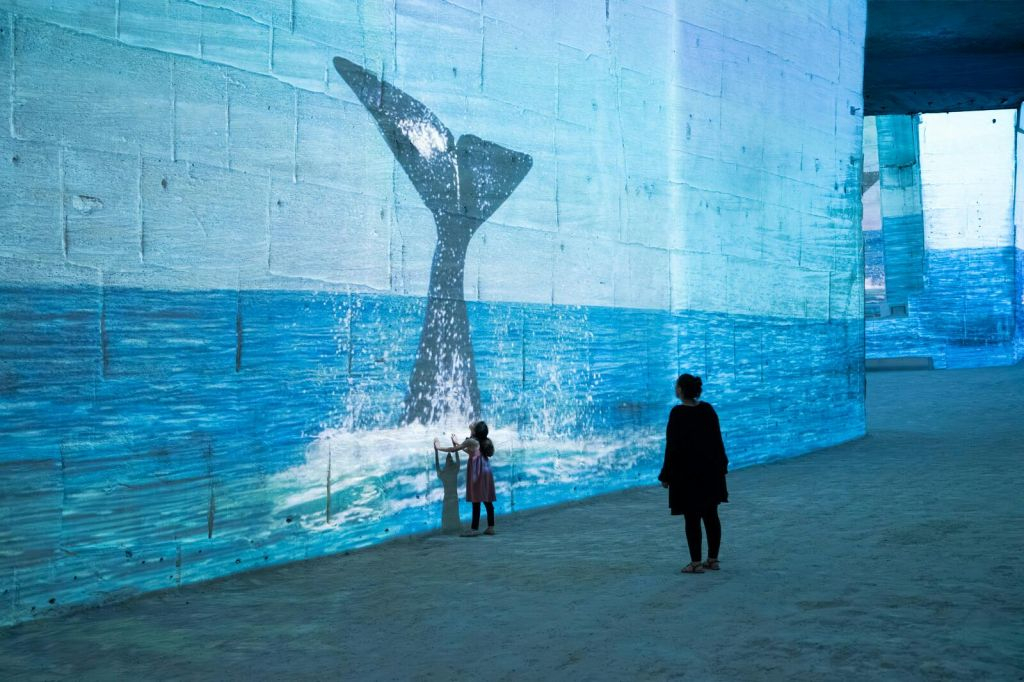 Carrières des Lumières : The Little Prince Exposition