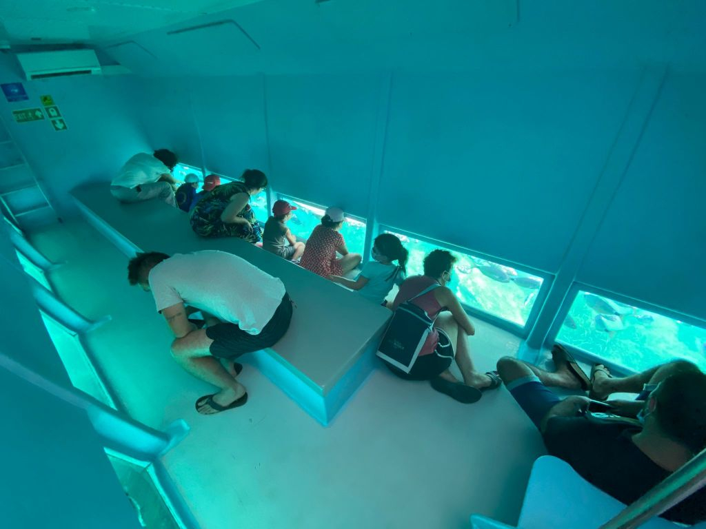 Cap Norfeu: Excursión en barco con fondo de cristal de 2,5 horas desde Roses o Santa Margarita