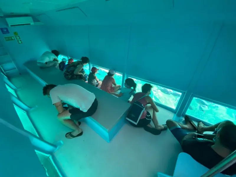 Excursión en Barco con Fondo de Cristal: Cap Norfeu + Nadar desde Roses y Santa Margarita