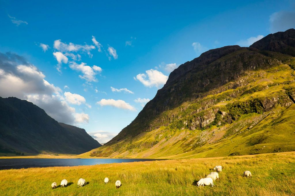 Loch Ness, Glencoe & Scottish Highlands: Guided Tour from Edinburgh