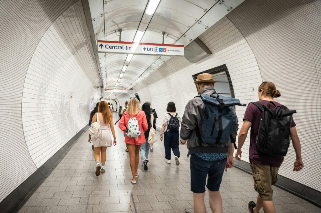 Private Tour: See Over 30 Top London Sights! Fun Local Guide