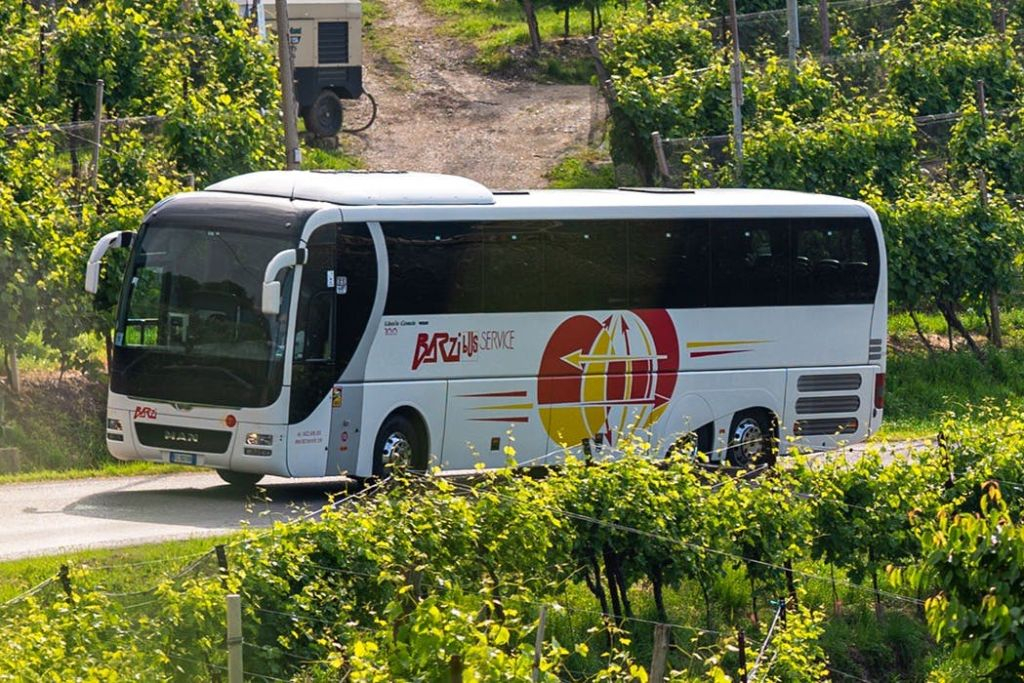 Venice: Bus Transfer to Treviso Airport (TSF) by Barzi Service