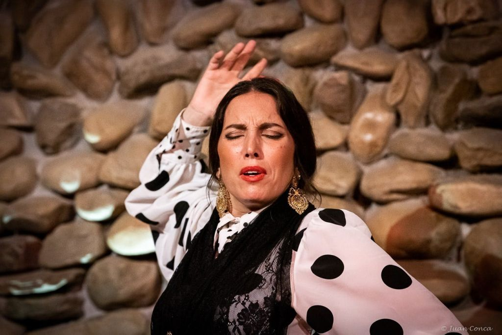 El Gallo Ronco Málaga: Espectáculo Flamenco
