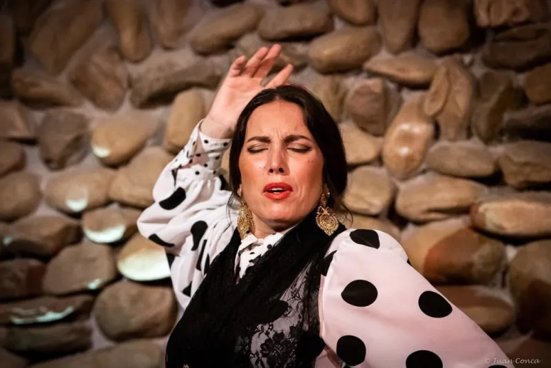 El Gallo Ronco Málaga: Espectáculo Flamenco