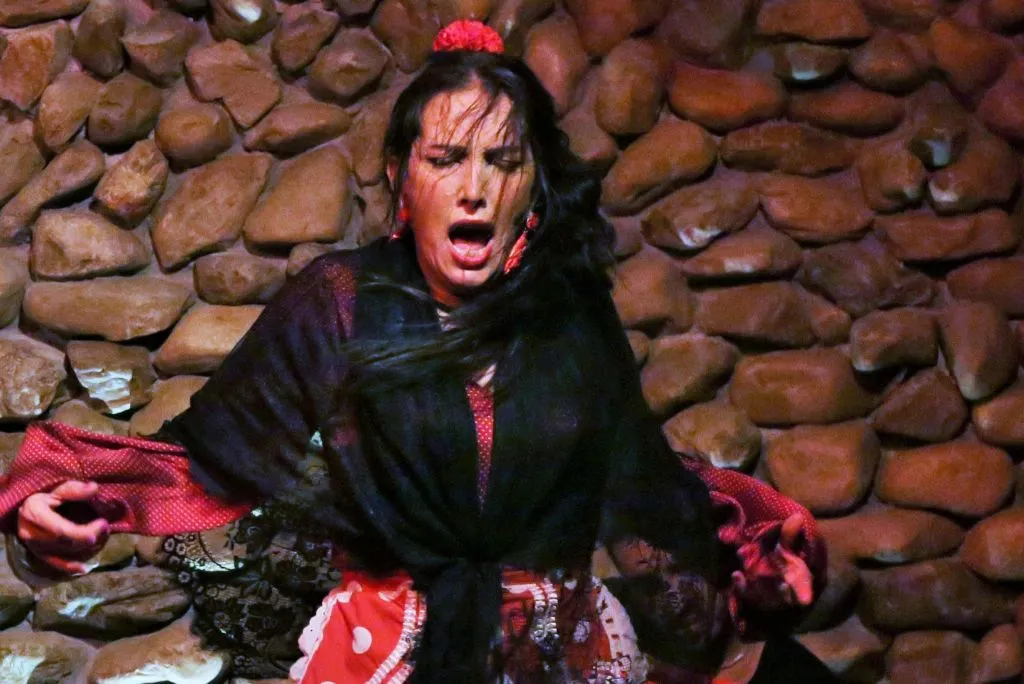 El Gallo Ronco Málaga: Espectáculo Flamenco