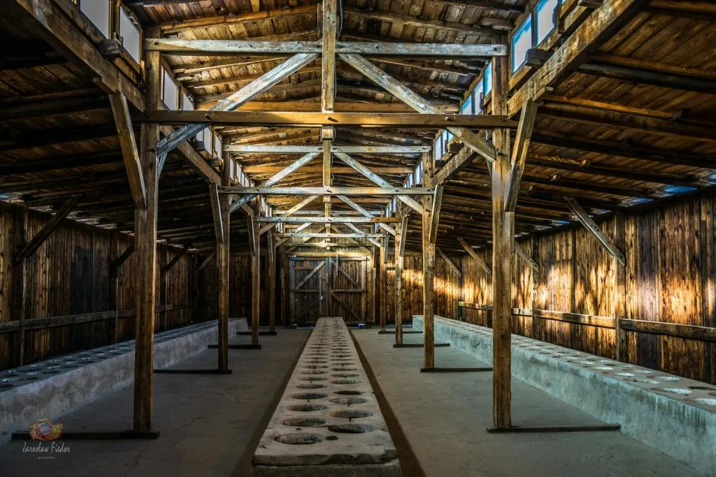 Auschwitz-Birkenau: Visita guiada de dia inteiro a partir de Varsóvia + transporte de ida e volta