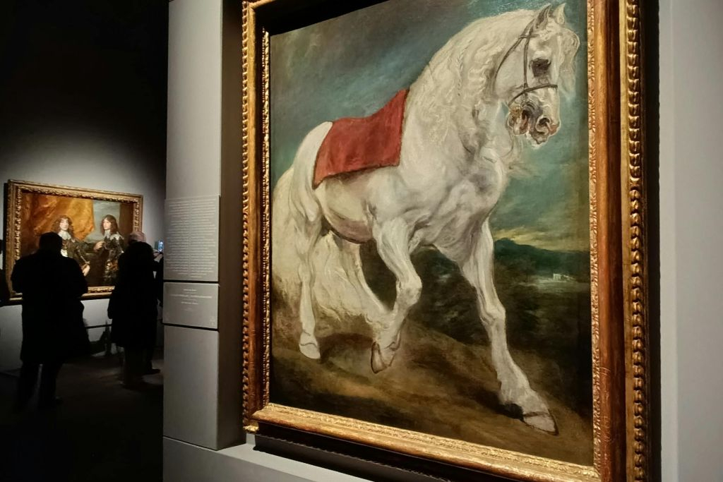 Palazzo Ducale Genova: Biglietto per la mostra temporanea