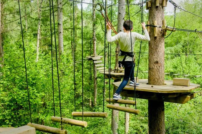 Irrisarri Land