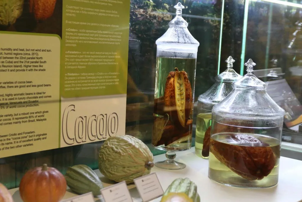 Musée Choco-Story : Billet d'entrée