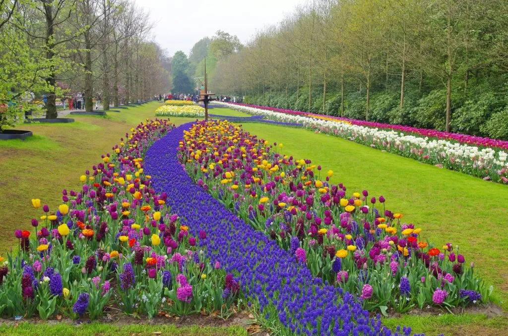 Barco de panquecas + Keukenhof