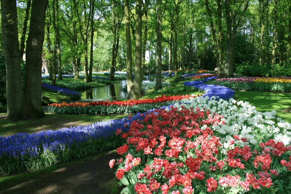 Barco de panquecas + Keukenhof