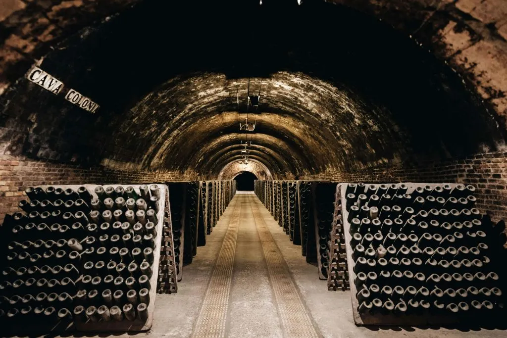 Bodega Codorníu: Tour guiado + La Torre Menú Almuerzo + Cata de cava