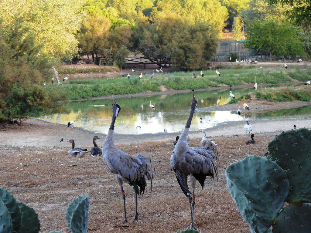 Cañada de los Pájaros Bird Reserve