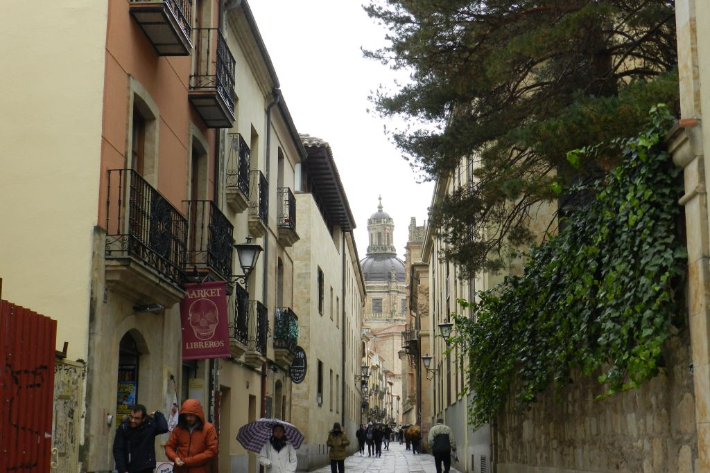 Ávila and Salamanca: Day Trip from Madrid