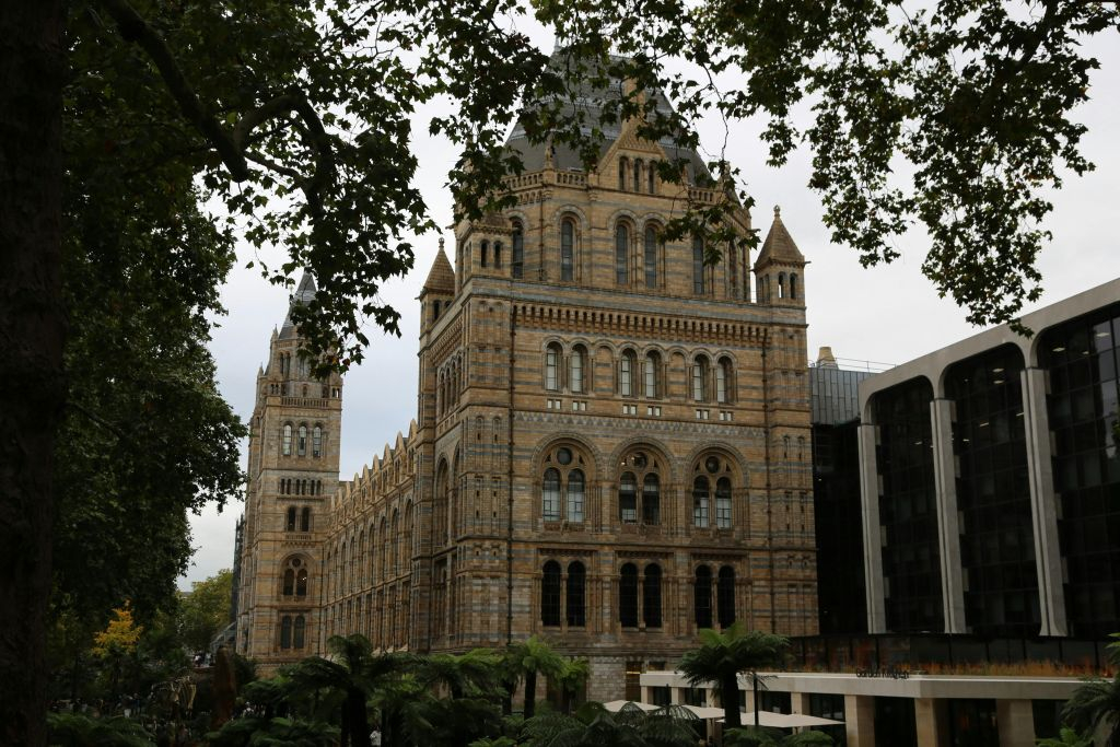 Natural History Museum London: Audio Guide App