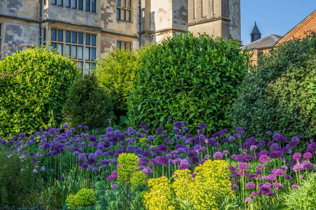 Audley End House and Gardens: Entry Ticket