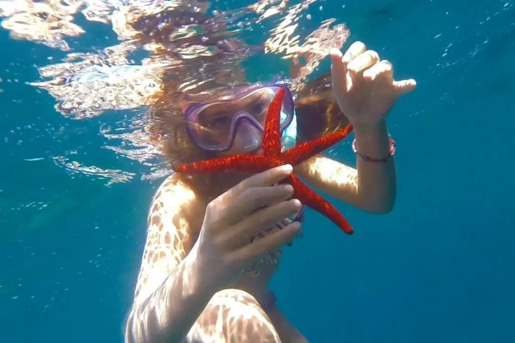 Costa Brava: Excursión en barco desde Roses + Audioguía