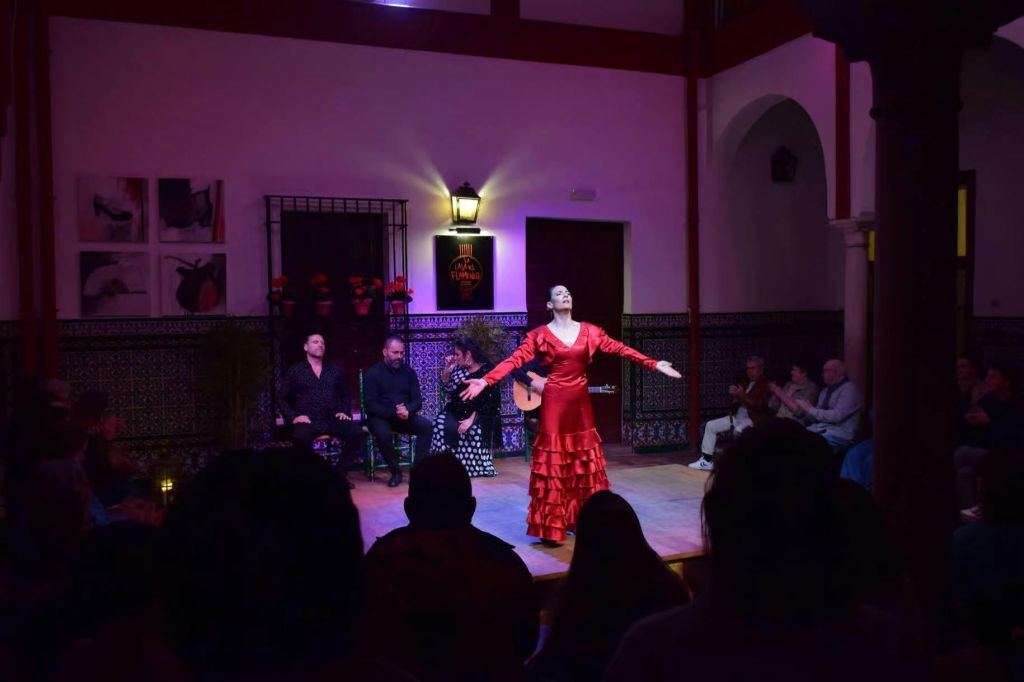 La Casa del Flamenco: Espectáculo de flamenco