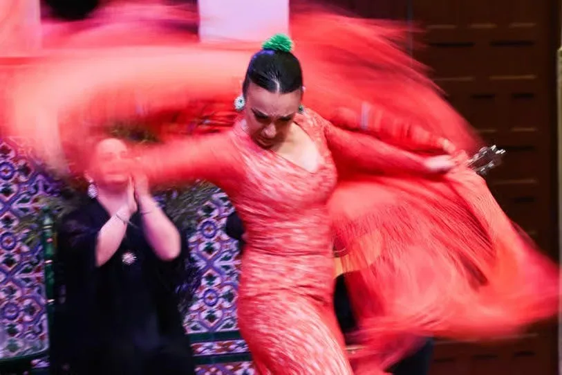 La Casa del Flamenco: Espectáculo de flamenco