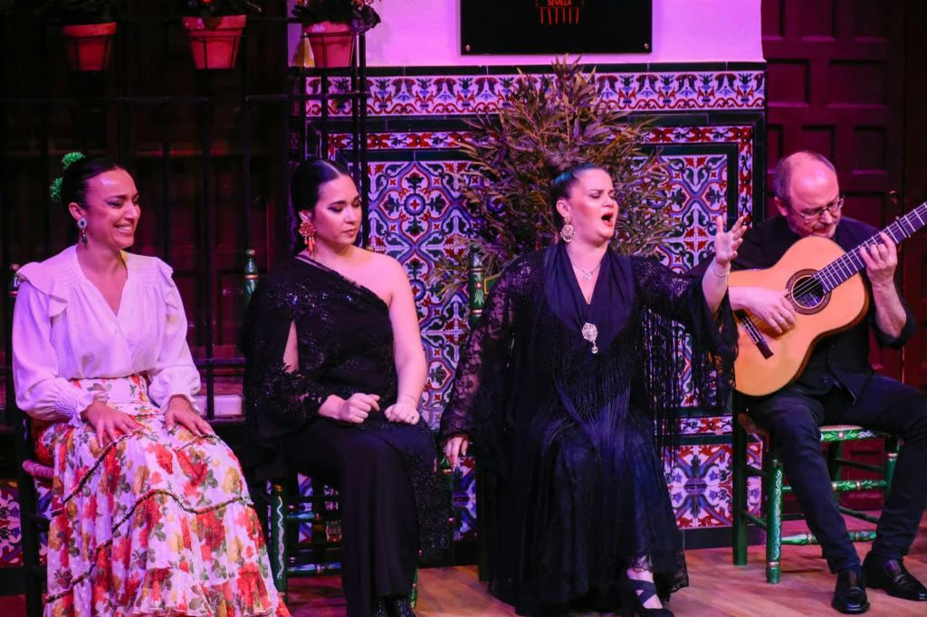 La Casa del Flamenco: Espectáculo de flamenco