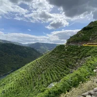 Ribeira Sacra Tourist Train