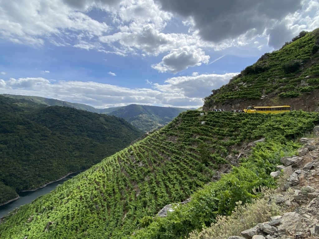 Tren turístico de la Ribeira Sacra