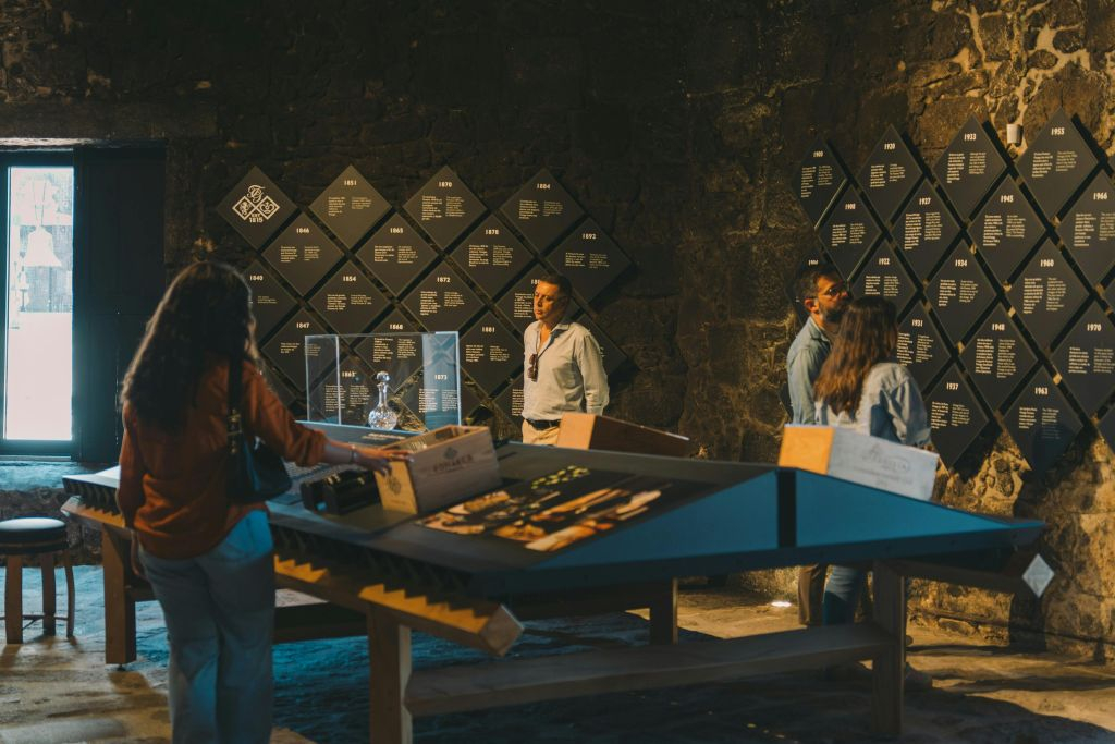 WOW Porto Musées et caves à vin de Porto Fonseca : Billet d'entrée + dégustations
