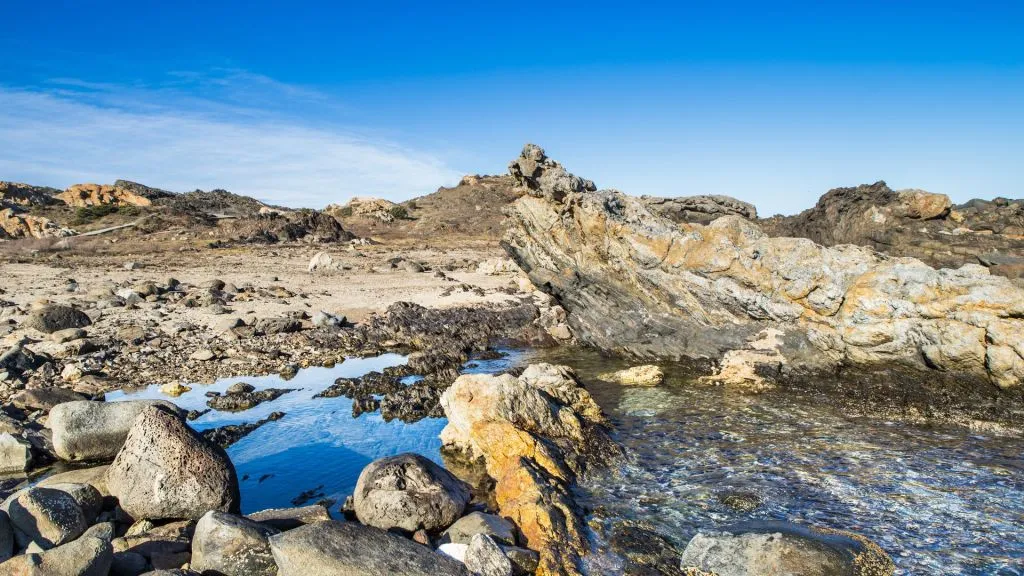 Excursión en barco al Cap de Creus, Cadaqués y Portlligat