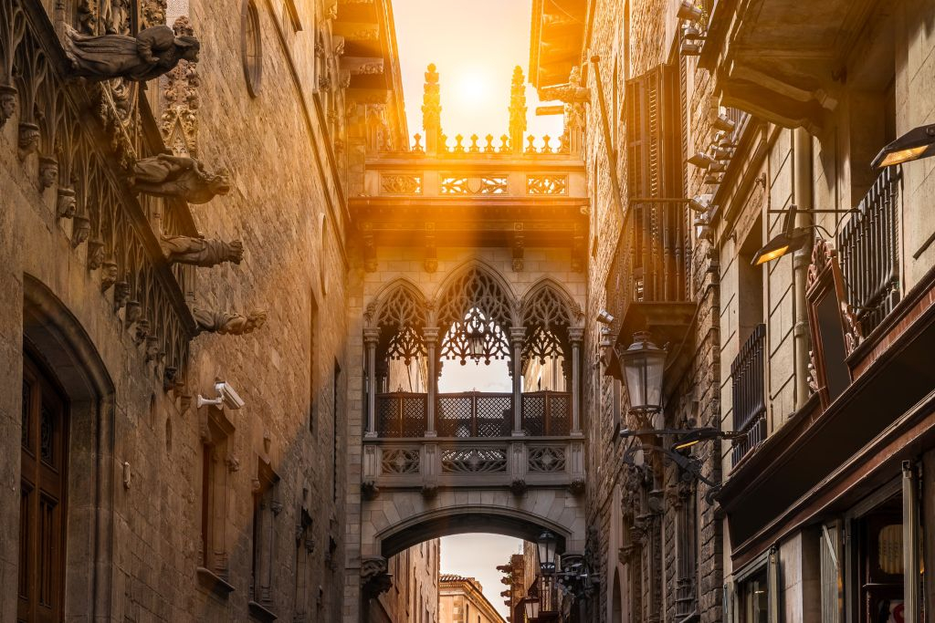 Barcellona: Tour guidato del Quartiere Gotico + Spettacolo di Flamenco