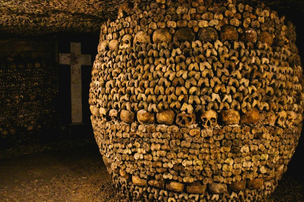 Catacombes de Paris : Billet d'entrée + croisière sur la Seine + audioguide