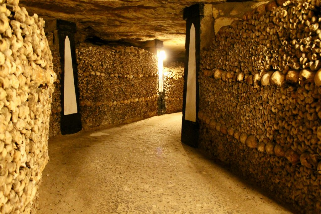 Catacombes de Paris : Billet d'entrée + croisière sur la Seine + audioguide