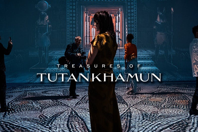 Treasures of Tutankhamun Antwerp: Entry Ticket + Optional VR Experience