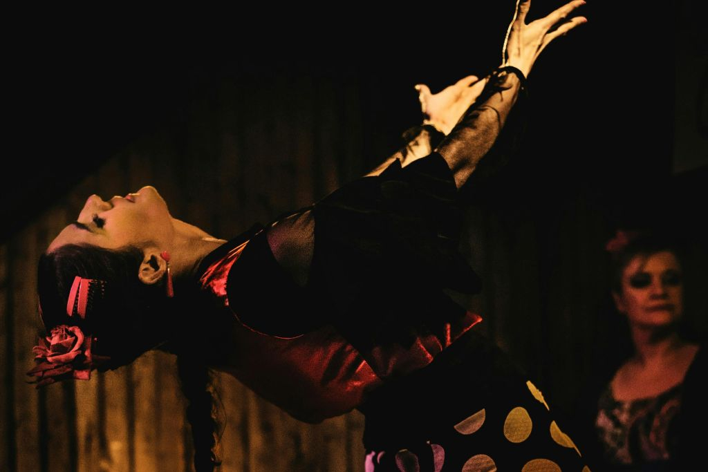Taberna Flamenca El Cortijo: Espectáculo de flamenco + Tapas opcionales