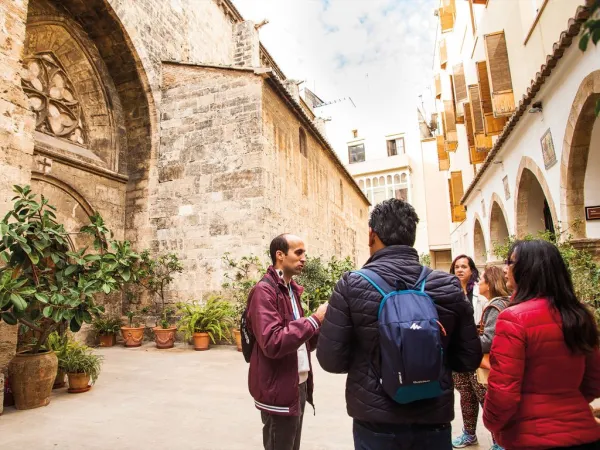 Tour Valencia Imprescindible con Visita a los Sitios Patrimonio de la Humanidad