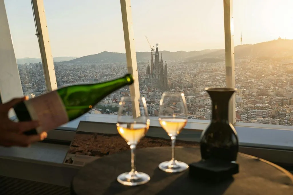 Mirador Torre Glòries: Cata de vinos guiada + audioguía