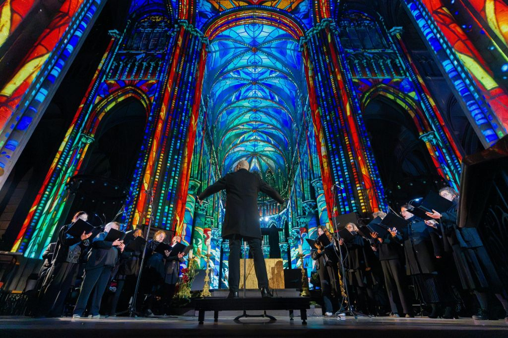 LUMINISCENCE Reims : Billet d'entrée
