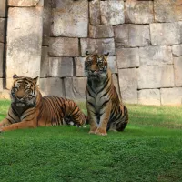 Bioparc Fuengirola