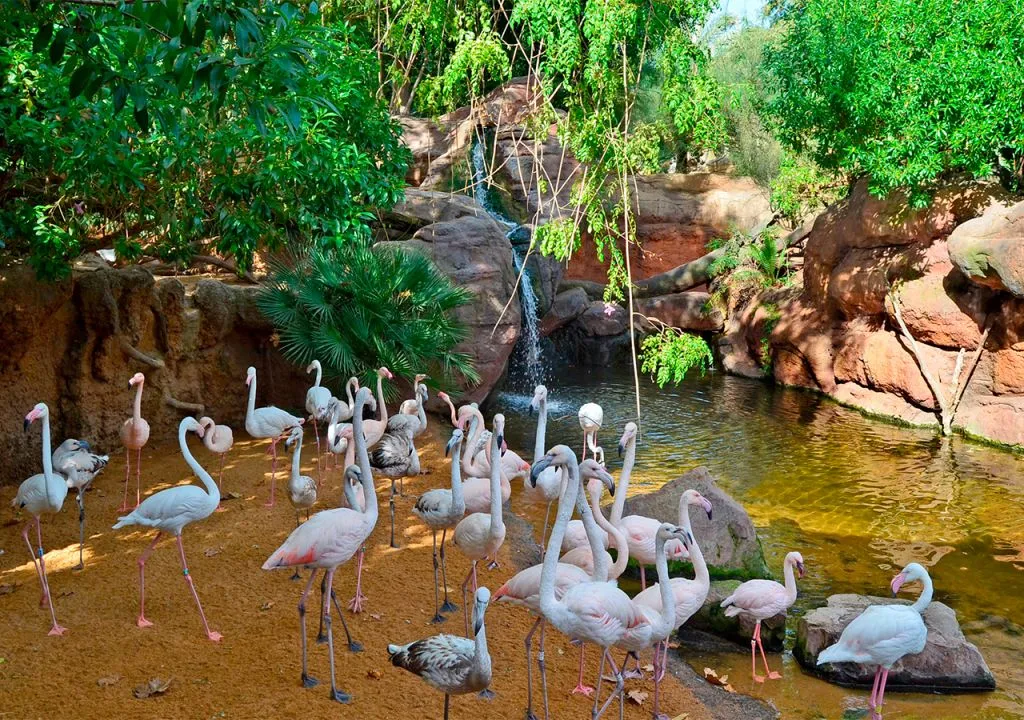 Bioparc Fuengirola