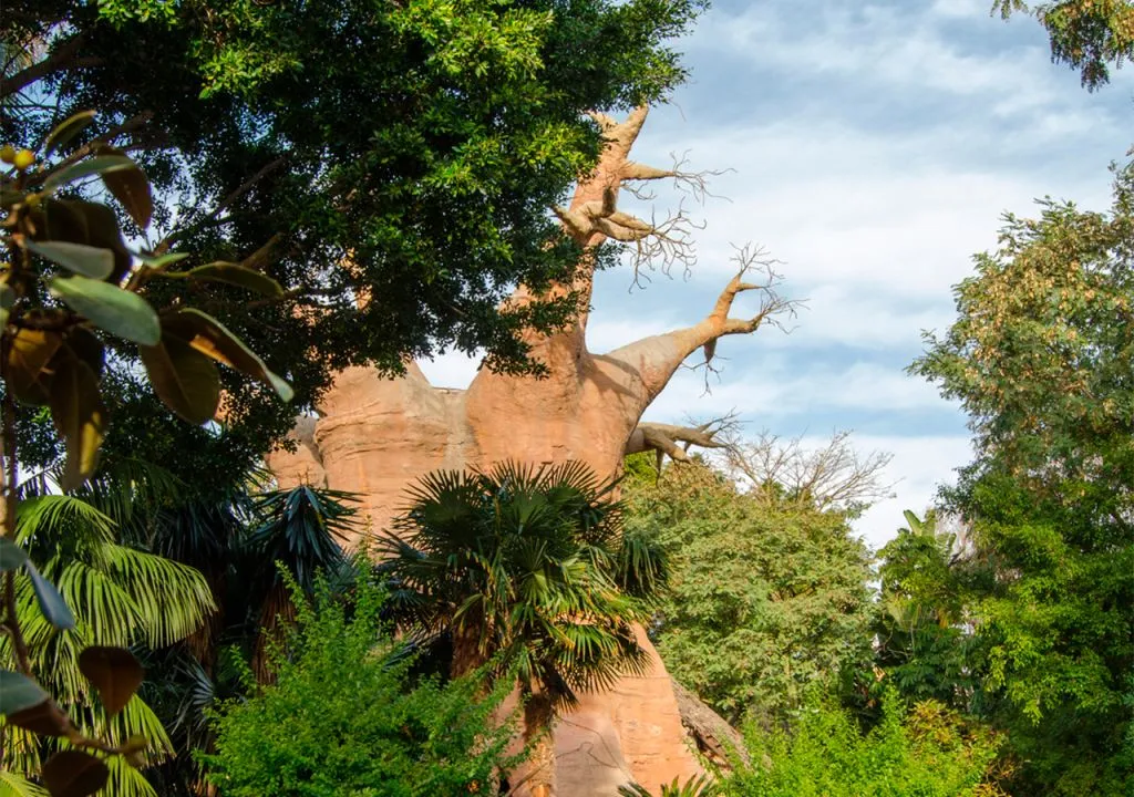 Bioparc Fuengirola