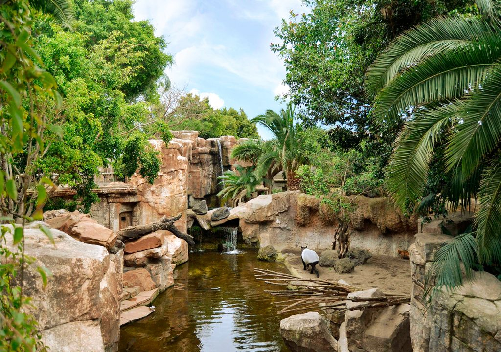Bioparque Fuengirola