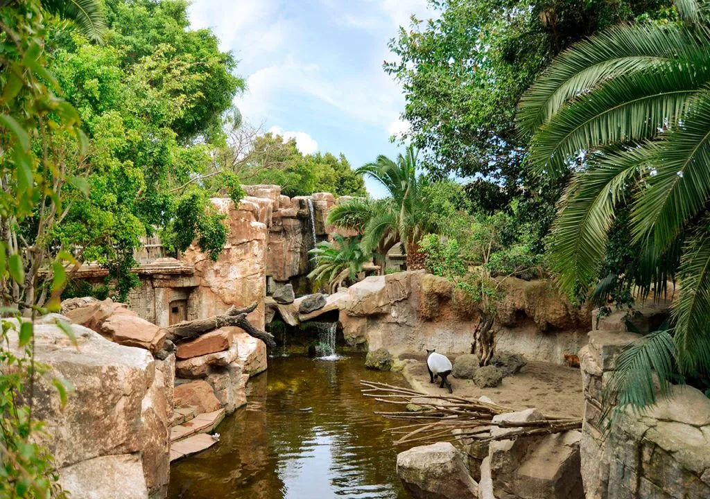 Bioparc Fuengirola