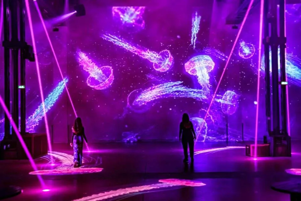 Atelier des Lumières : exposition Van Gogh