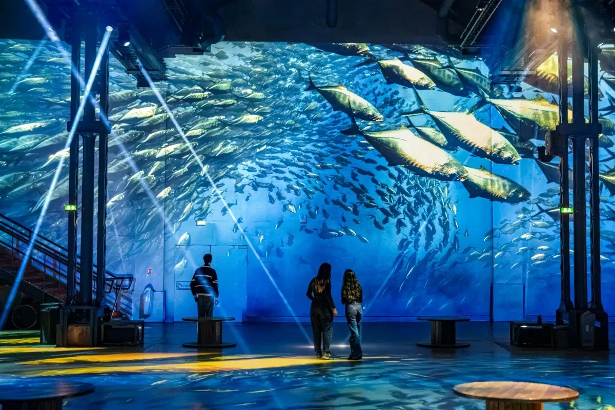 Atelier des Lumières : exposition Van Gogh