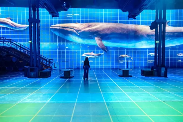 Atelier des Lumières : exposition Planète Océan
