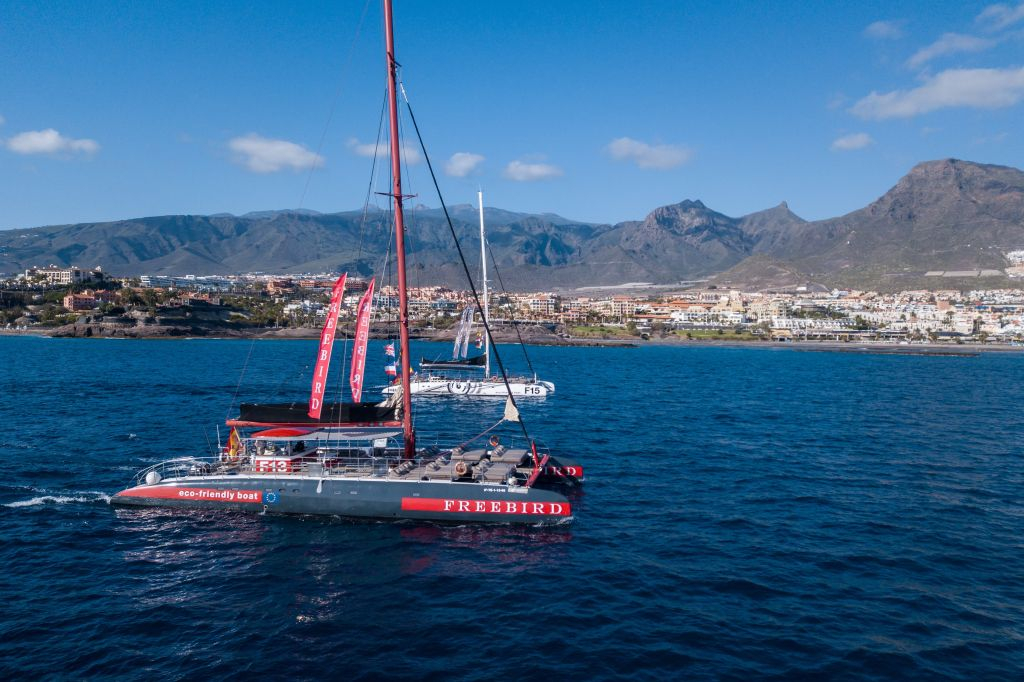 Masca + Los Gigantes : Billet d'excursion pour l'observation des baleines et des dauphins