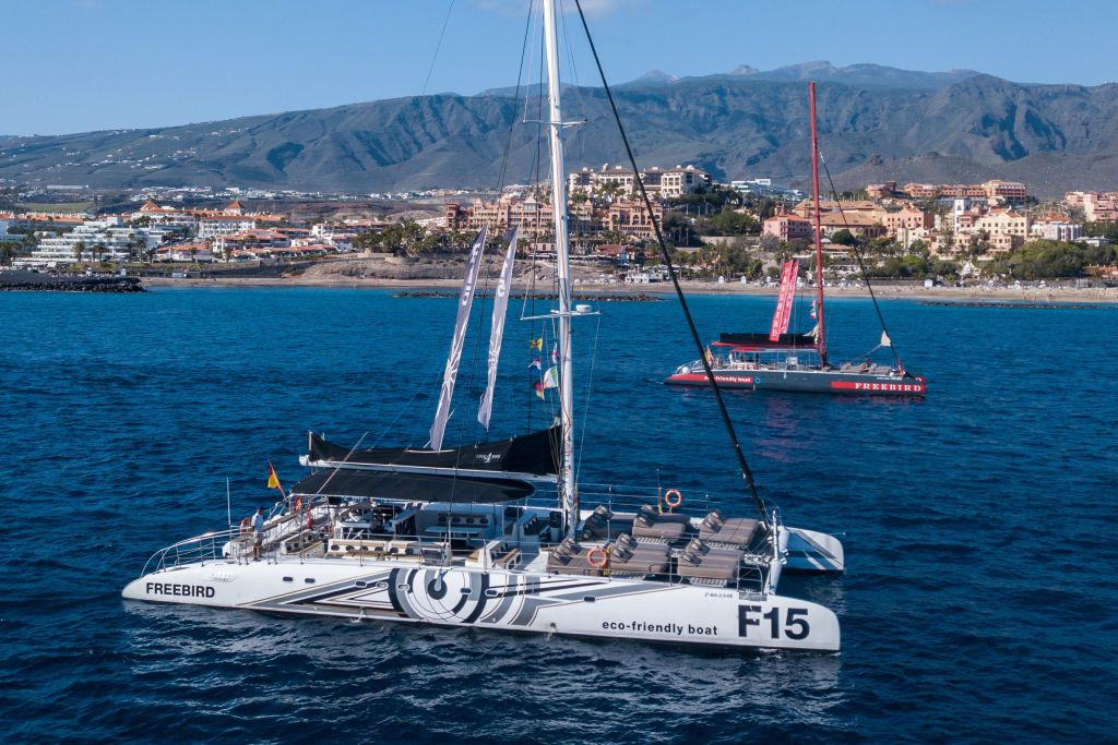 Masca + Los Gigantes : Billet d'excursion pour l'observation des baleines et des dauphins