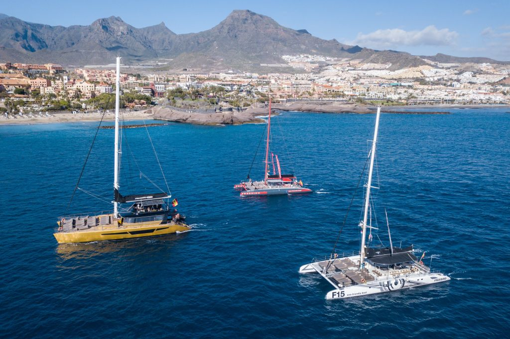 Masca + Los Gigantes : Billet d'excursion pour l'observation des baleines et des dauphins