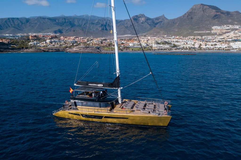 Masca + Los Gigantes: Biglietto per il tour di osservazione delle balene e dei delfini