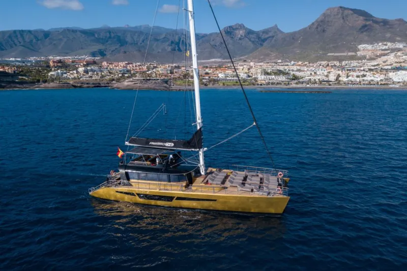 Masca + Los Gigantes: Billete para la excursión de avistamiento de ballenas y delfines
