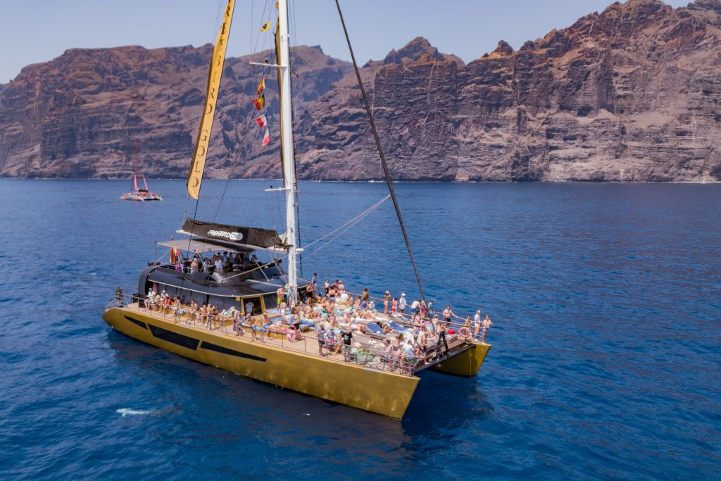 Masca + Los Gigantes : Billet d'excursion pour l'observation des baleines et des dauphins